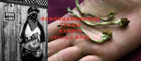 альфа пвп Новозыбков