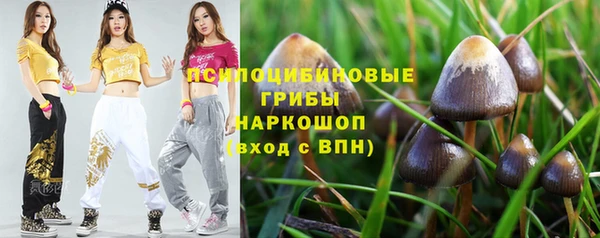 СК Нефтегорск