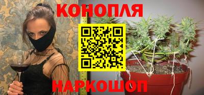 шишки Волгодонск
