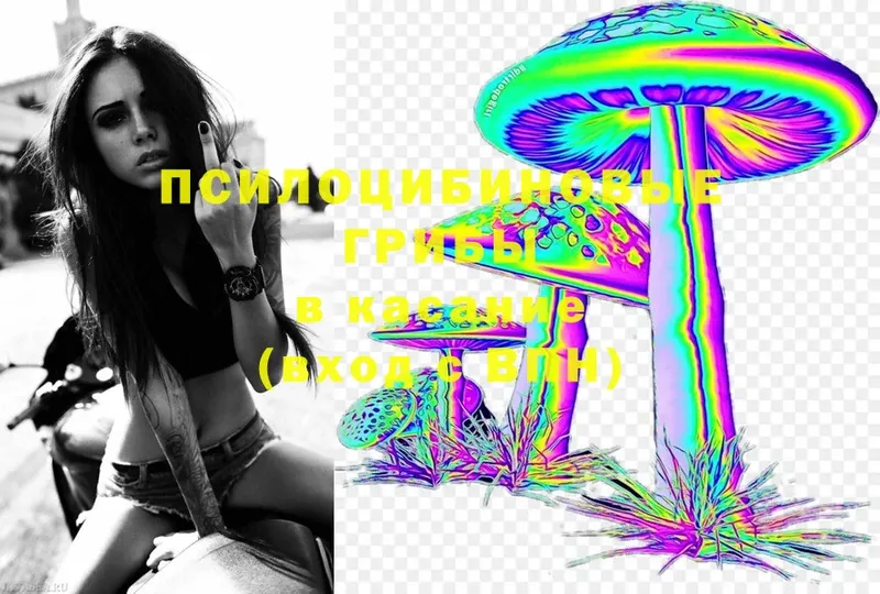 Псилоцибиновые грибы Cubensis Ипатово