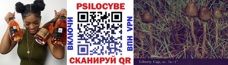 Псилоцибиновые грибы GOLDEN TEACHER  магазин продажи   Ипатово 